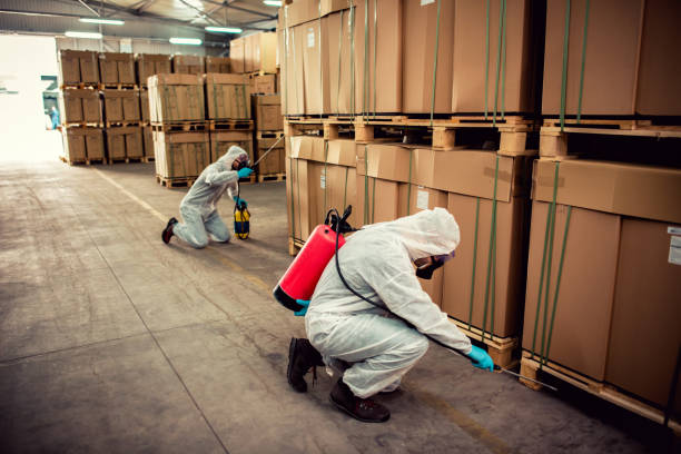 Best Pest Control Near Me in Fairview, UT
