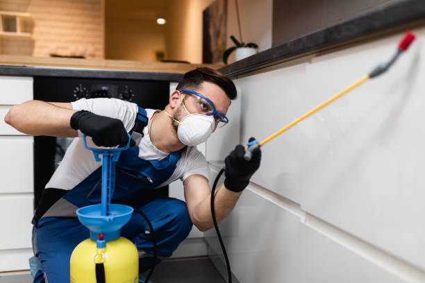 Best Pest Prevention Services  in Fairview, UT