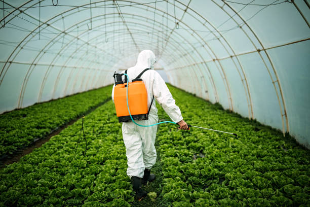 Best Emergency Pest Control  in Fairview, UT