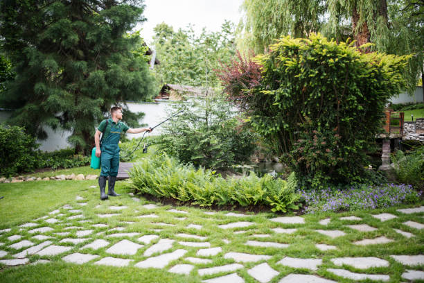 Professional Pest Control in Fairview, UT