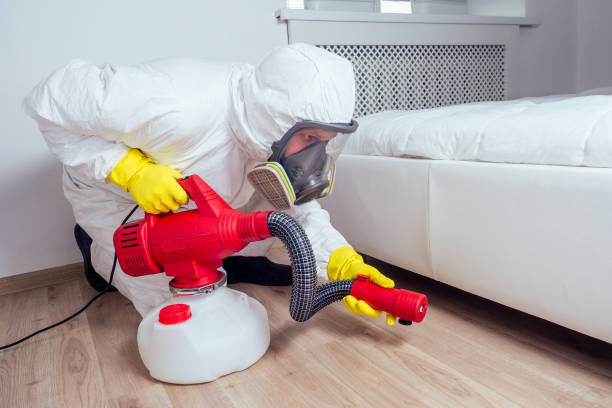 Best Termite Control Services  in Fairview, UT