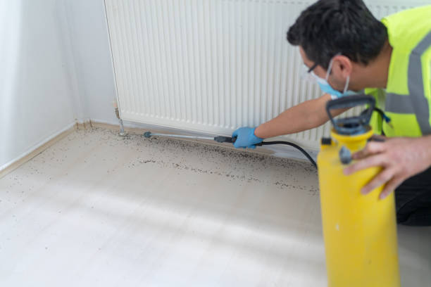 Best Pest Removal Services  in Fairview, UT