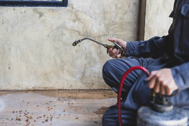 Best Best Pest Control Near Me  in Fairview, UT