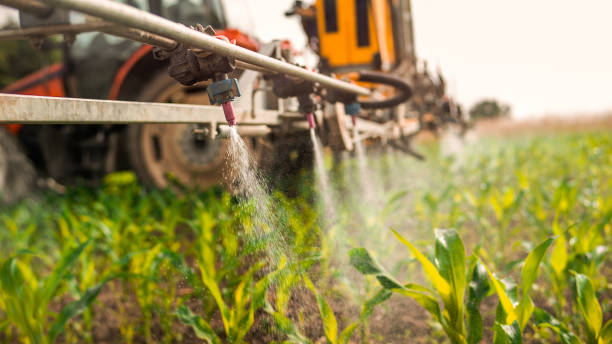 Best Pest Prevention Services  in Fairview, UT